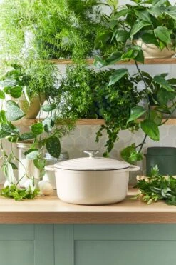 Tefal LOV Braadpan - 5L - Ø25 Cm - Beige 26 Tefal LOV Braadpan - 5L - Ø25 Cm - Beige -Eersteklas Kookgereiwinkel 800x1200 25