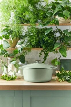 Tefal LOV Braadpan - 5L - Ø25 Cm - Groen -Eersteklas Kookgereiwinkel 800x1200 27