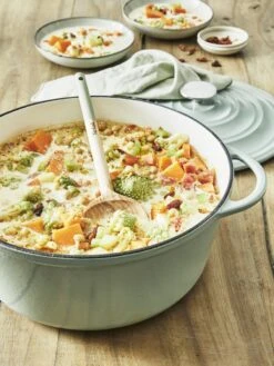 Tefal LOV Braadpan - 5L - Ø25 Cm - Groen -Eersteklas Kookgereiwinkel 900x1200 20